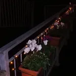 Guest house Posidonia Cinque Terre Manarola