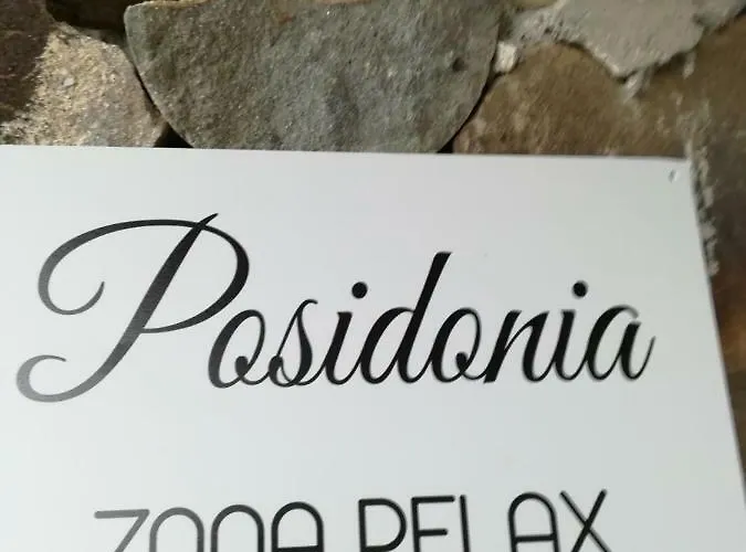 Posidonia Cinque Terre 3* マナローラ