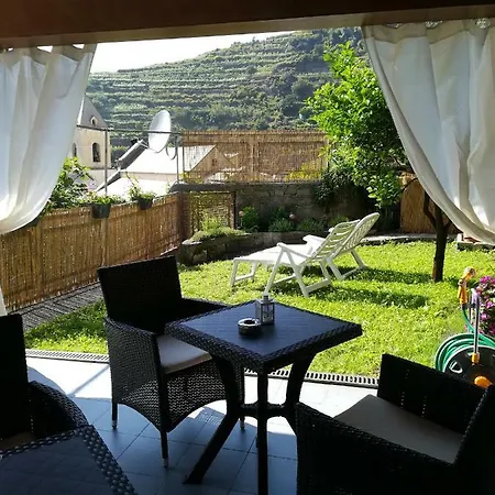 Posidonia Cinque Terre