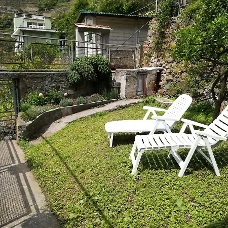 Posidonia Cinque Terre Manarola